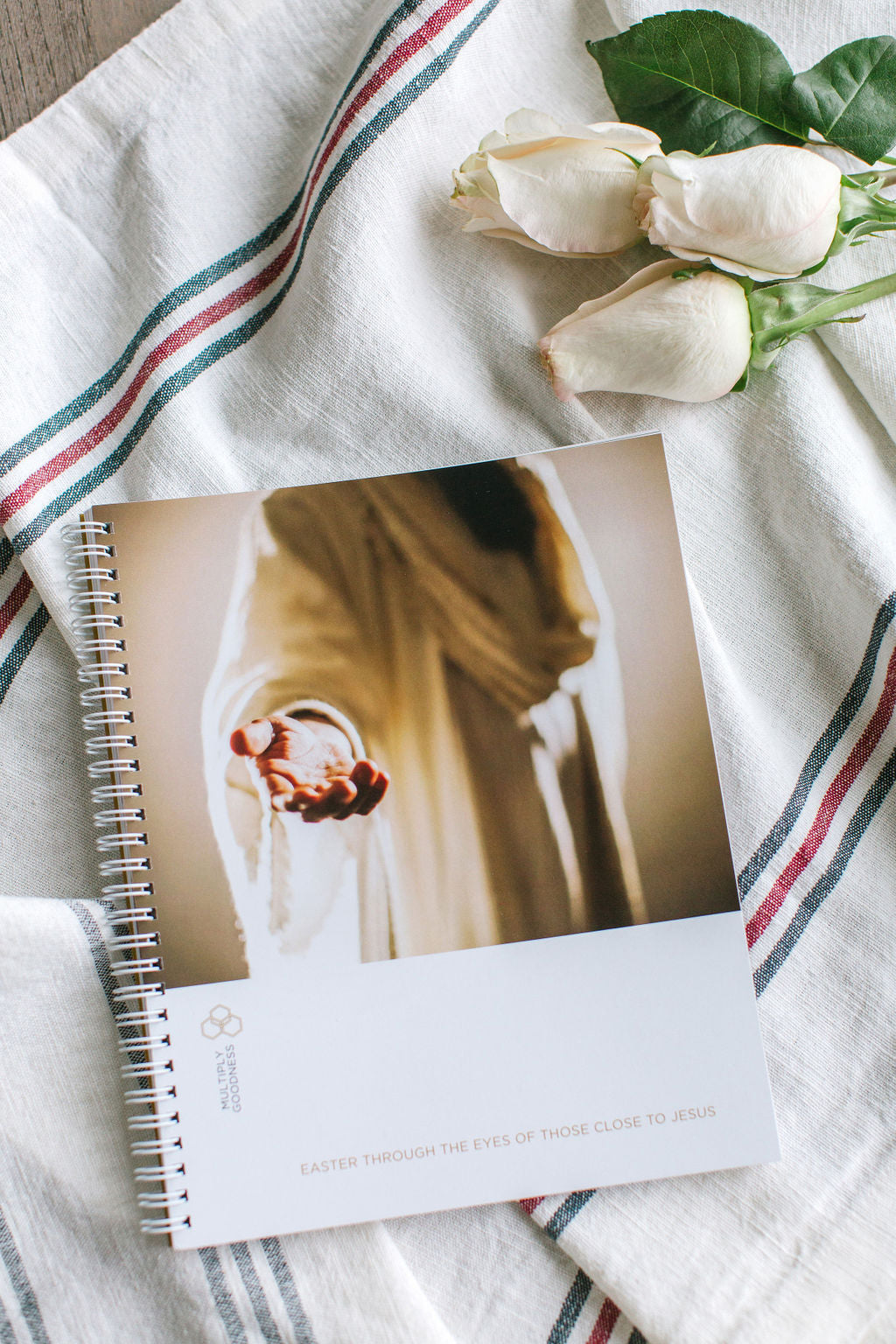 Study No. 4 - 2018/19