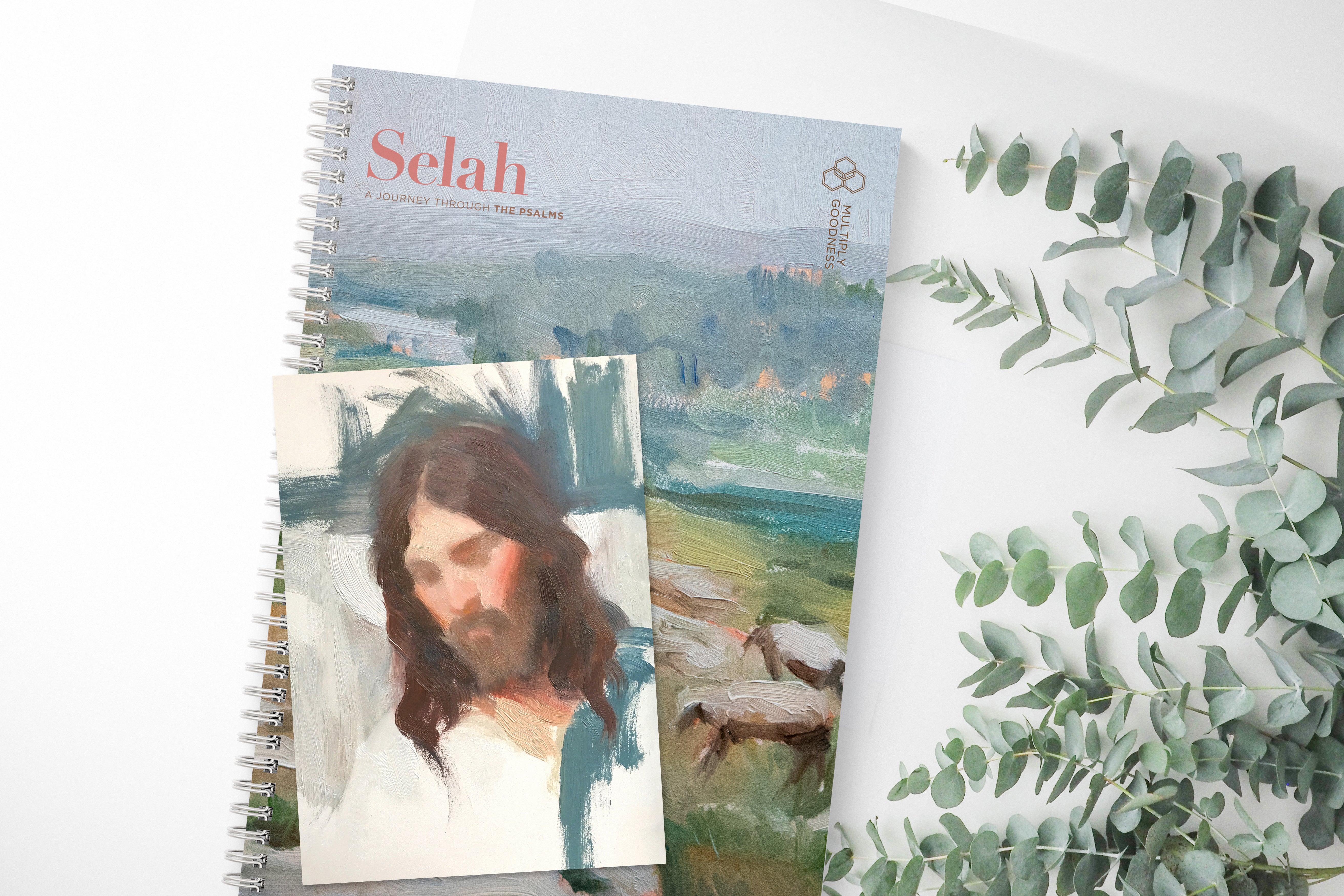 SELAH: A Journey Through the Psalms